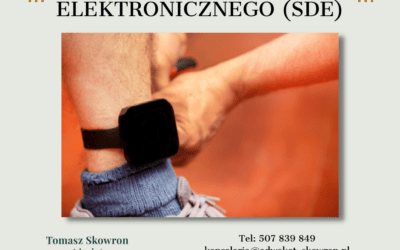 System dozoru elektronicznego (SDE)